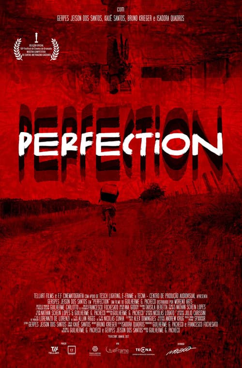 Perfection afişi