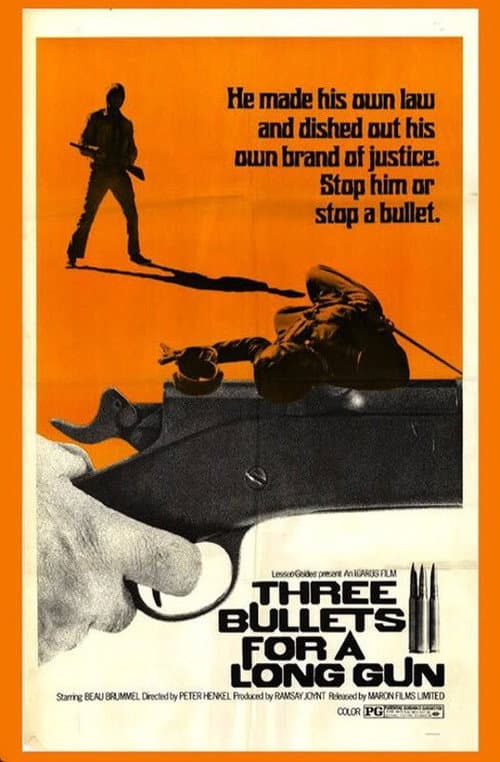 Three Bullets... for a Long Gun afişi
