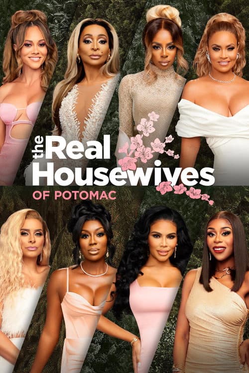 The Real Housewives of Potomac afişi