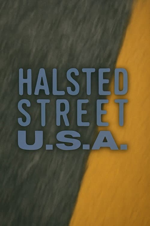 Halsted Street, USA afişi