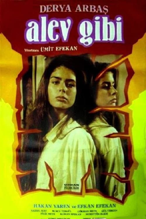 Alev Gibi afişi
