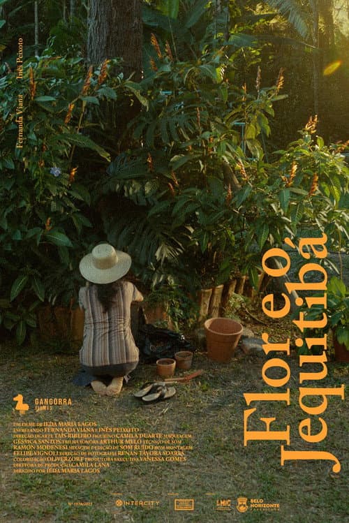 Flor e o Jequitibá afişi