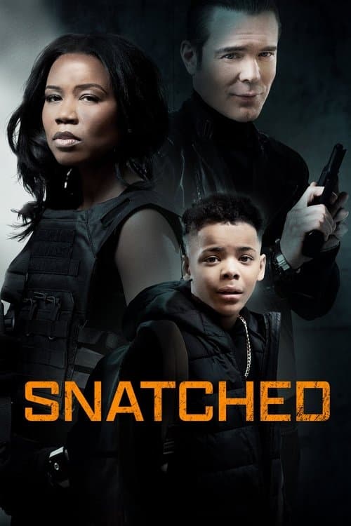 Snatched afişi