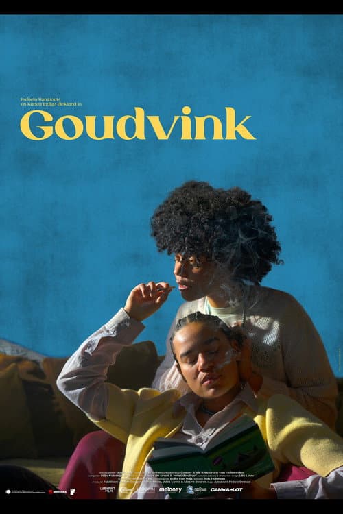 Goudvink afişi