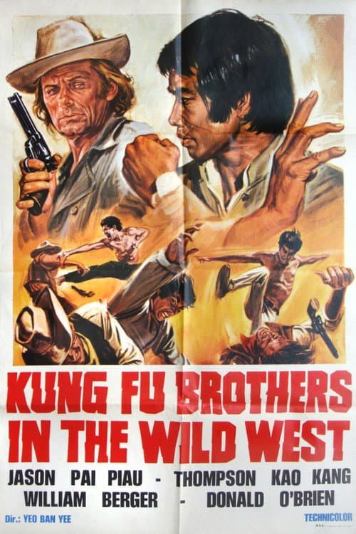 Kung Fu nel pazzo west afişi