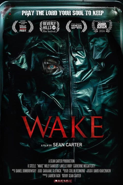Wake afişi