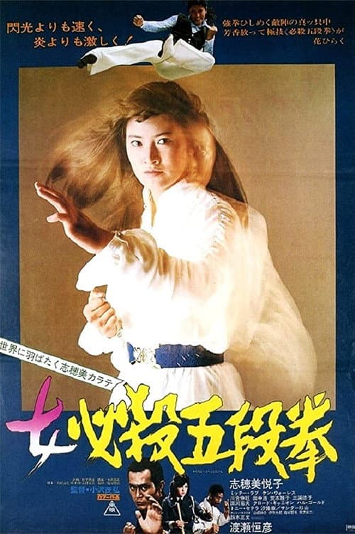 Sister Street Fighter: Fifth Level Fist afişi