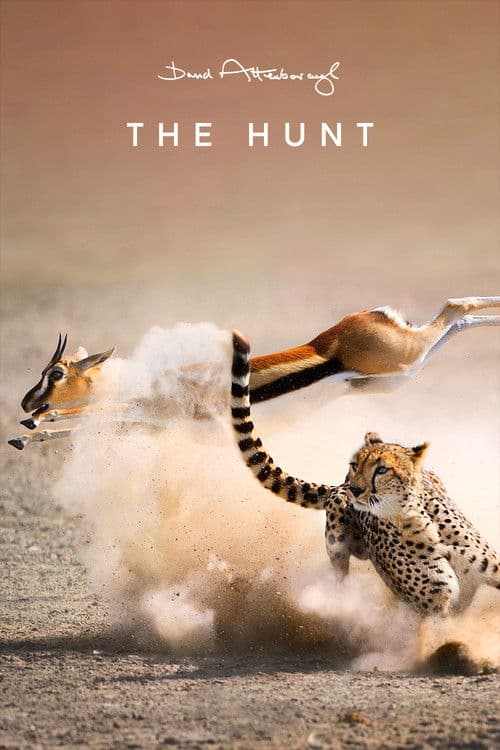 The Hunt afişi