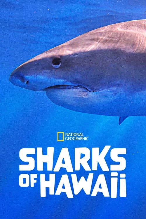 Sharks of Hawaii afişi