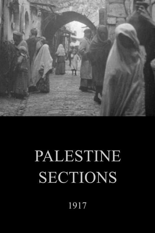 Palestine Sections afişi