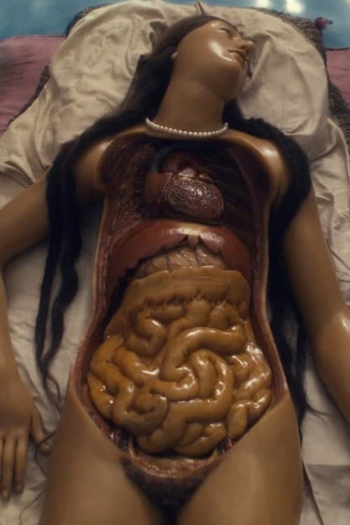 Four Unloved Women, Adrift on a Purposeless Sea, Experience the Ecstasy of Dissection afişi