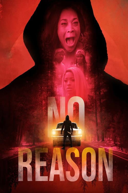 No Reason afişi