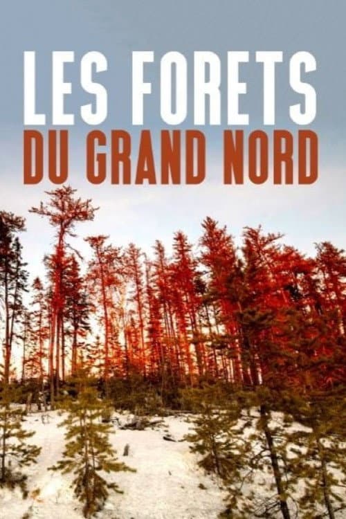 Les forêts du Grand Nord afişi