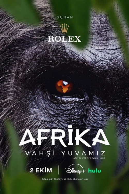 Afrika: Vahşi Yuvamız afişi