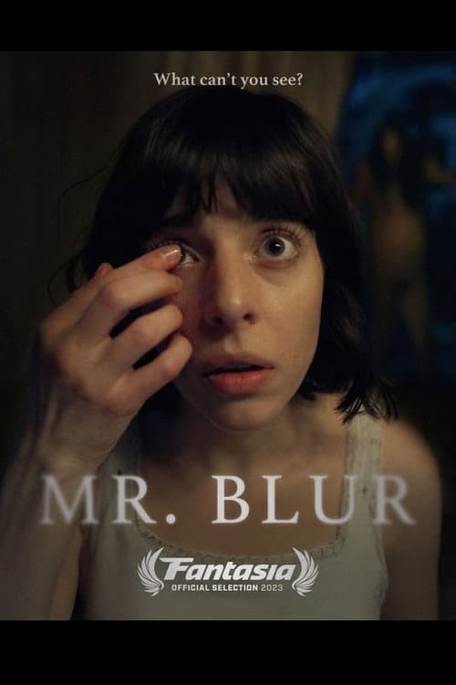 Mr. Blur afişi