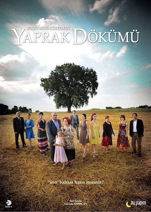 Yaprak Dökümü afişi