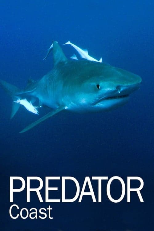 Predator Coast afişi