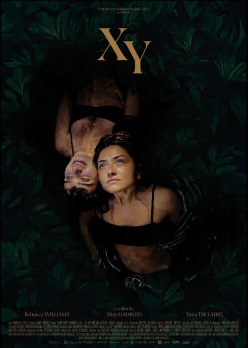 XY afişi