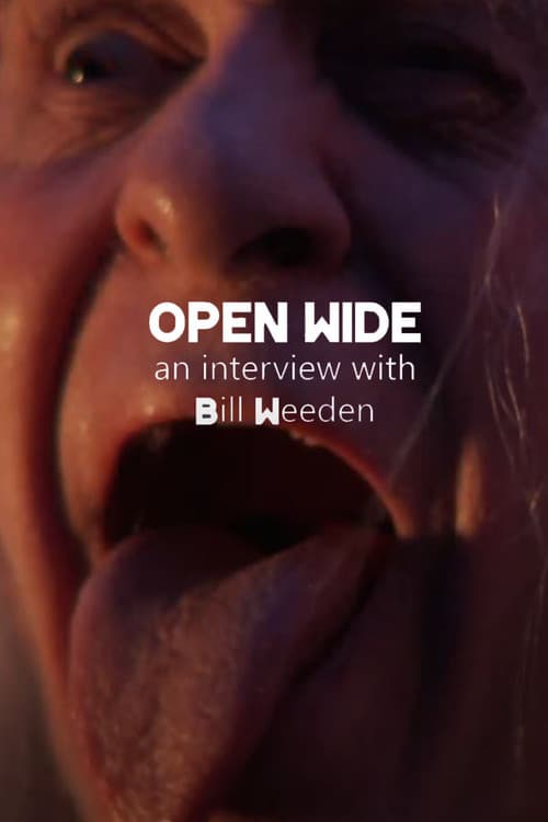 Open Wide afişi
