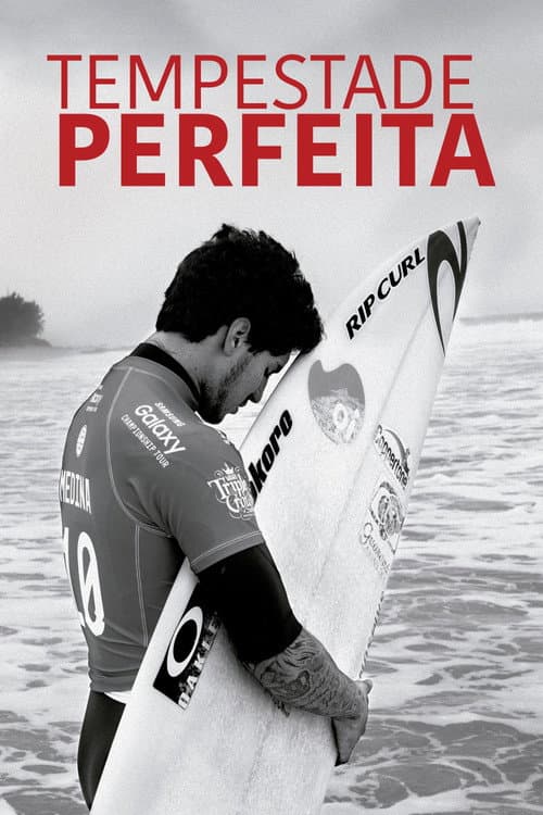 Tempestade Perfeita afişi