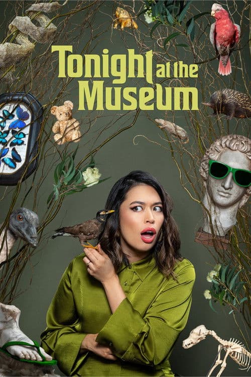 Tonight at the Museum afişi
