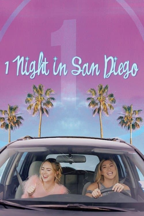 1 Night in San Diego afişi