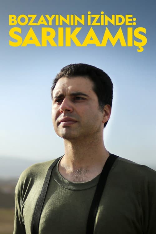 Bozayının İzinde: Sarıkamış afişi