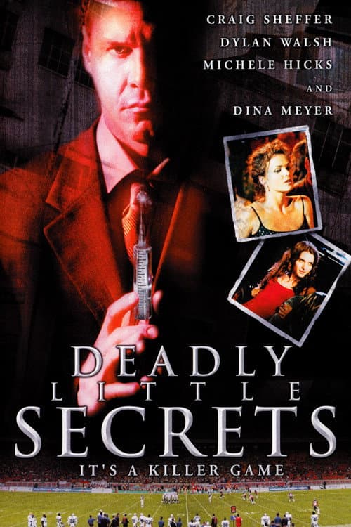 Deadly Little Secrets afişi