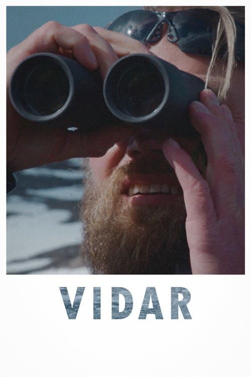 Vidar afişi
