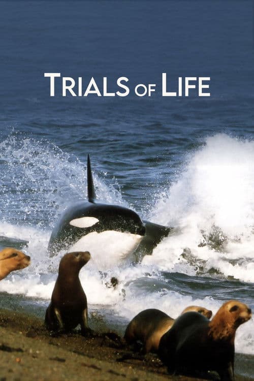 Trials of Life afişi