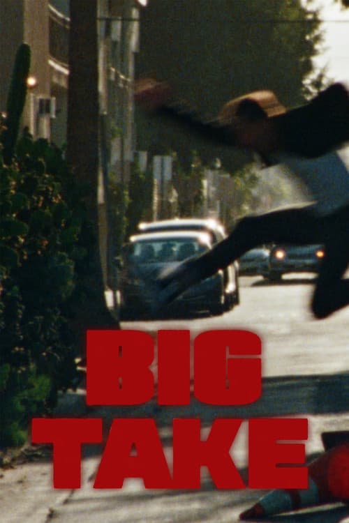 Big Take afişi