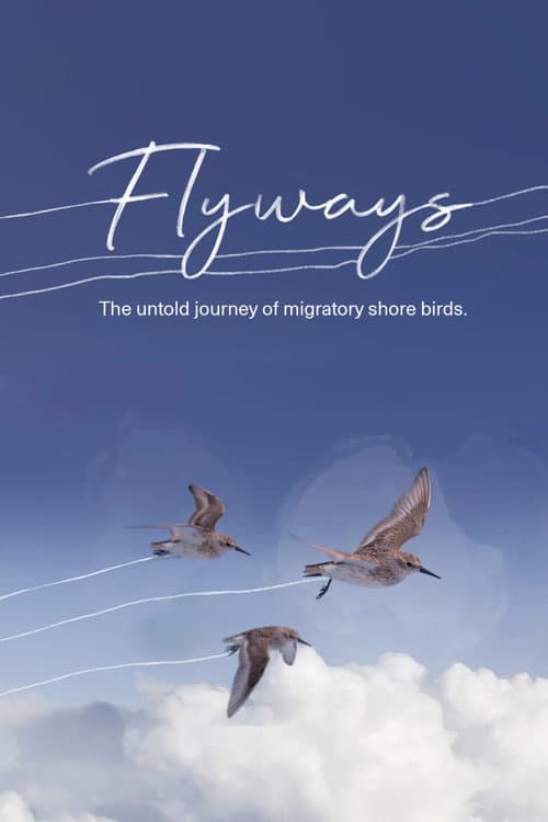 Flyways: The Untold Journey of Migratory Shorebirds afişi