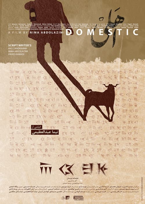 Domestic afişi