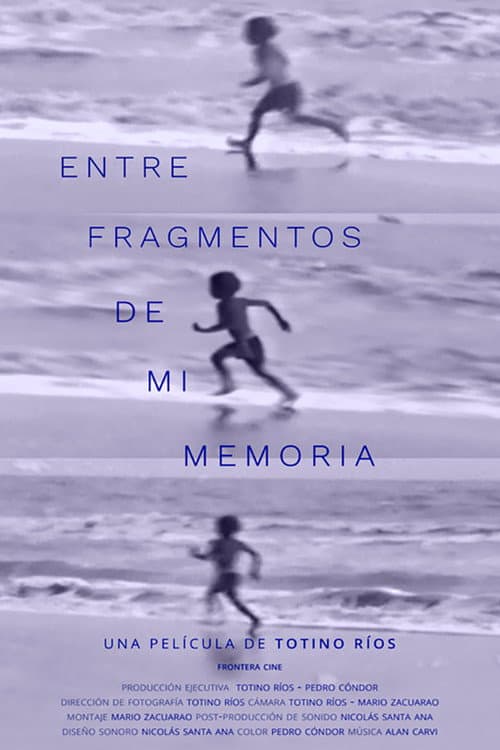 Entre fragmentos de mi memoria afişi