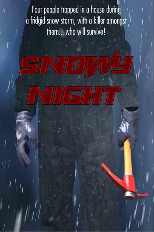 Snowy Night afişi
