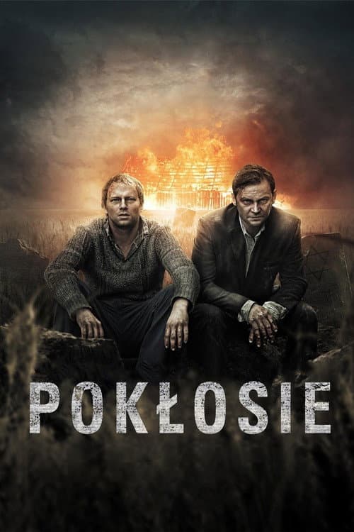 Pokłosie afişi