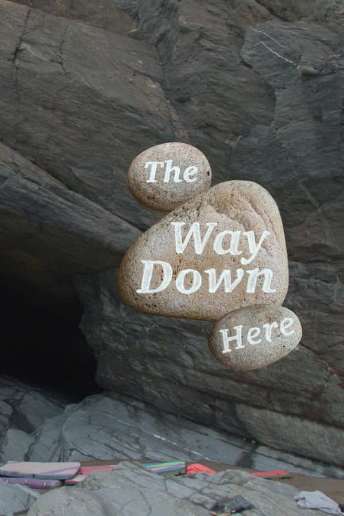 The Way Down Here afişi