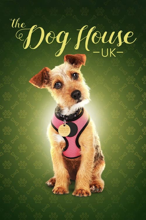 The Dog House afişi