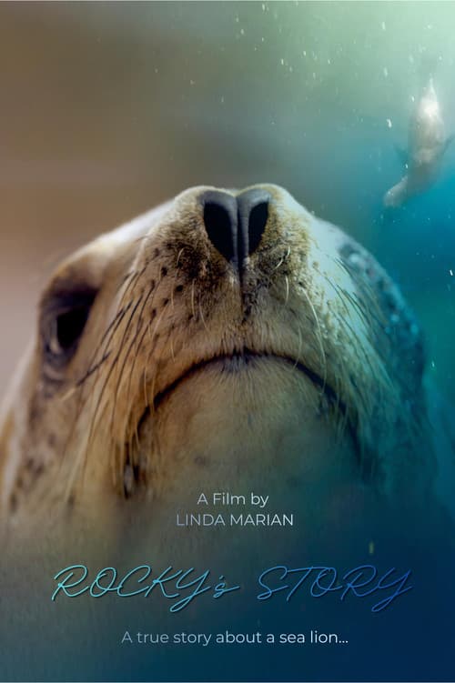 Rocky's Story afişi