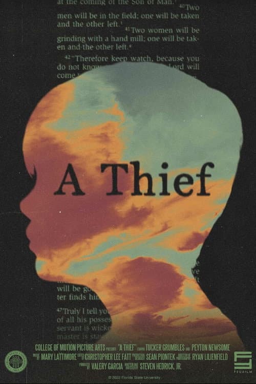 A Thief afişi