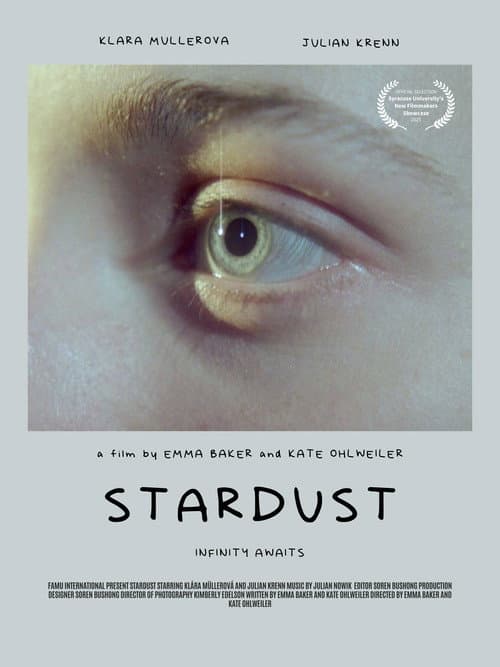 Stardust afişi