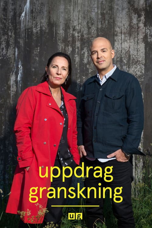Uppdrag granskning afişi