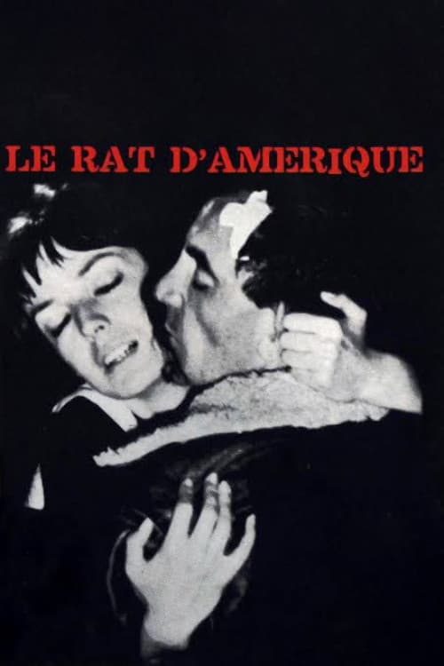 Le Rat d'Amérique afişi