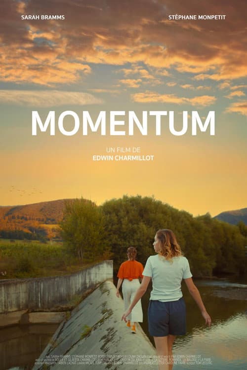 Momentum afişi
