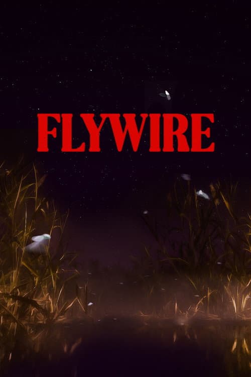 Flywire