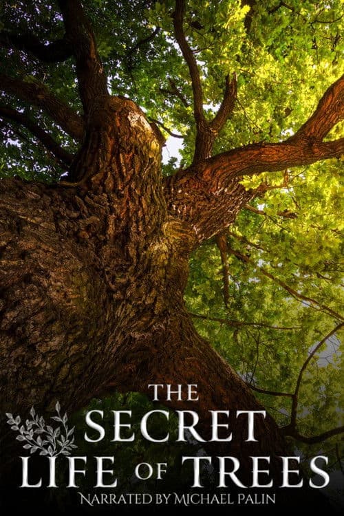 The Secret Life of Trees afişi
