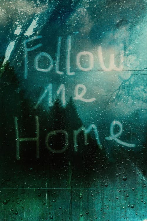 Follow Me Home afişi