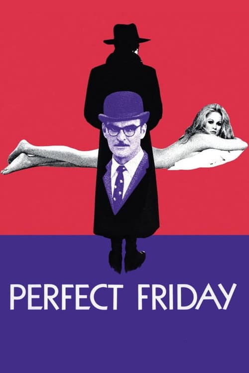 Perfect Friday afişi