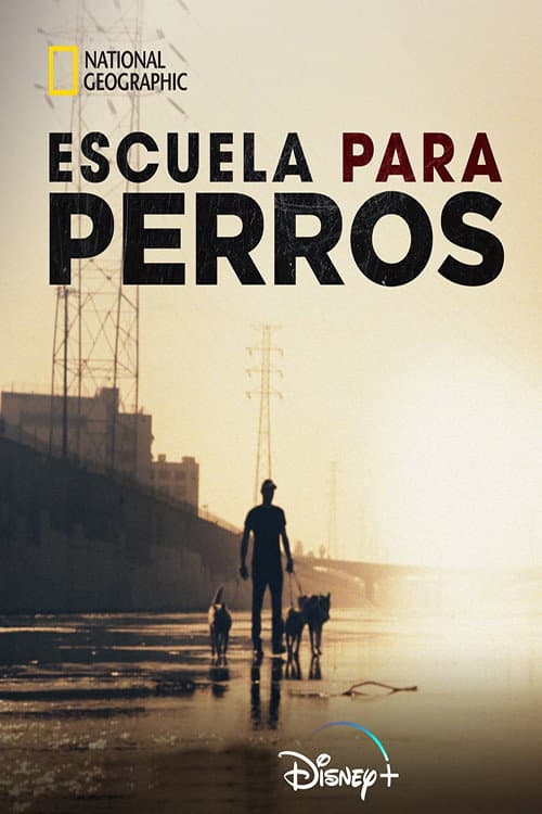 Escuela para perros afişi