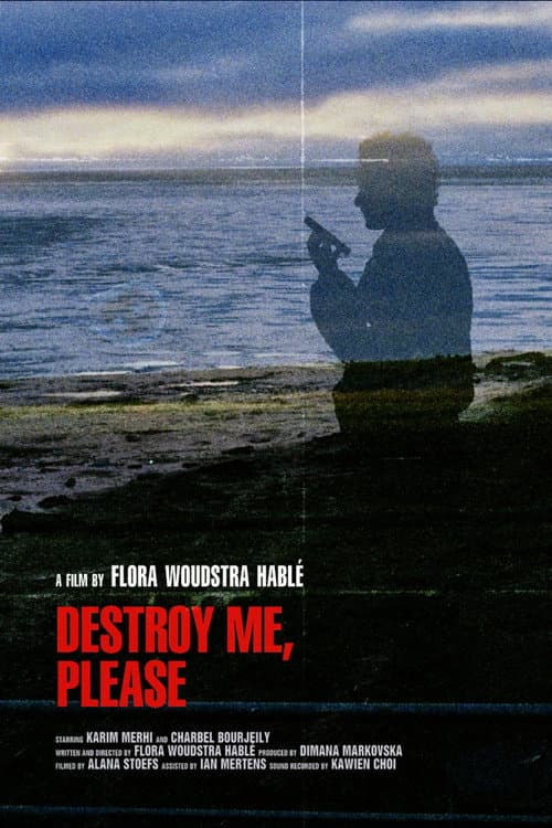 Destroy me, please afişi